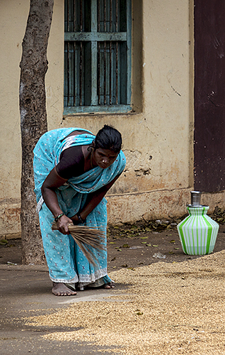 Bagging Rice 5-Thekkady